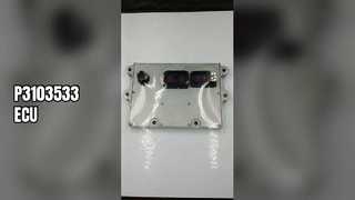 P3103533 ECU